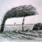 Ile d'Oleron